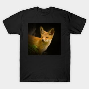 Red fox T-Shirt